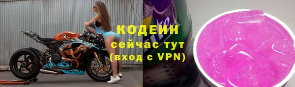 хмурый Кодинск