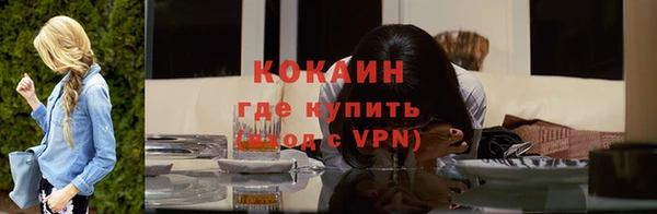 хмурый Кодинск