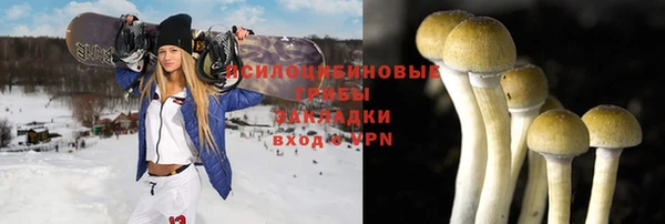 хмурый Кодинск