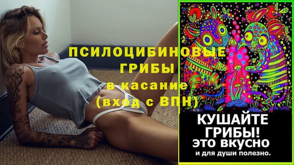 спиды Козловка