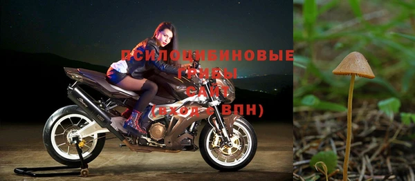 хмурый Кодинск